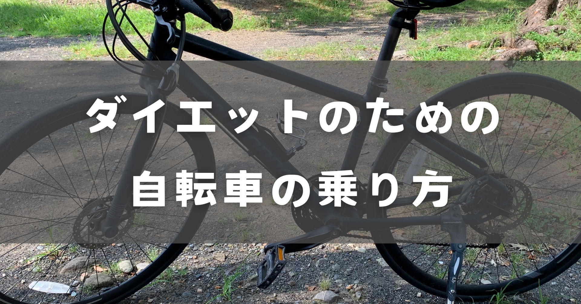 自転車ダイエット